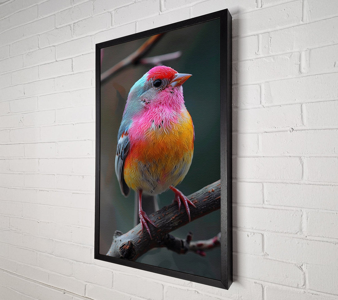  A Canvas Print of Fuchsia Finch Canvas Art