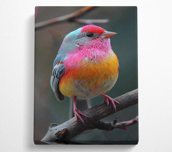  A Canvas Print of Fuchsia Finch Canvas Art
