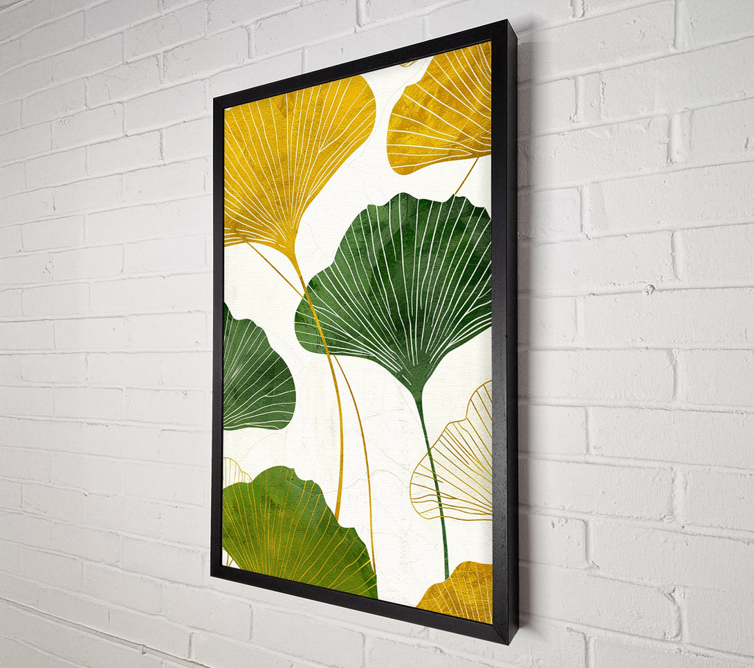  A Canvas Print of Ginkgo Leaves Canvas Print