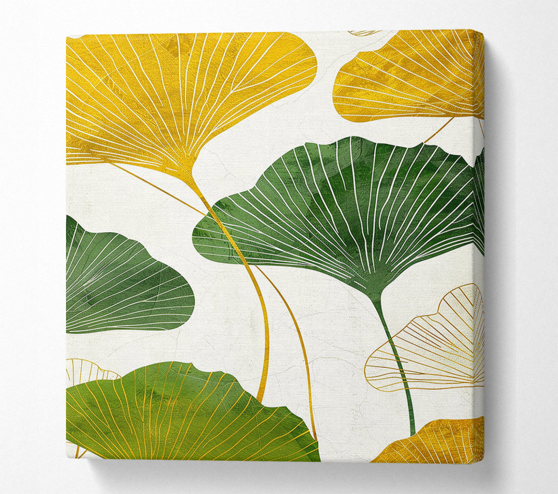  A Canvas Print of Ginkgo Leaves Canvas Print