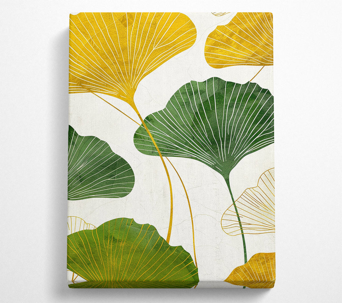  A Canvas Print of Ginkgo Leaves Canvas Print