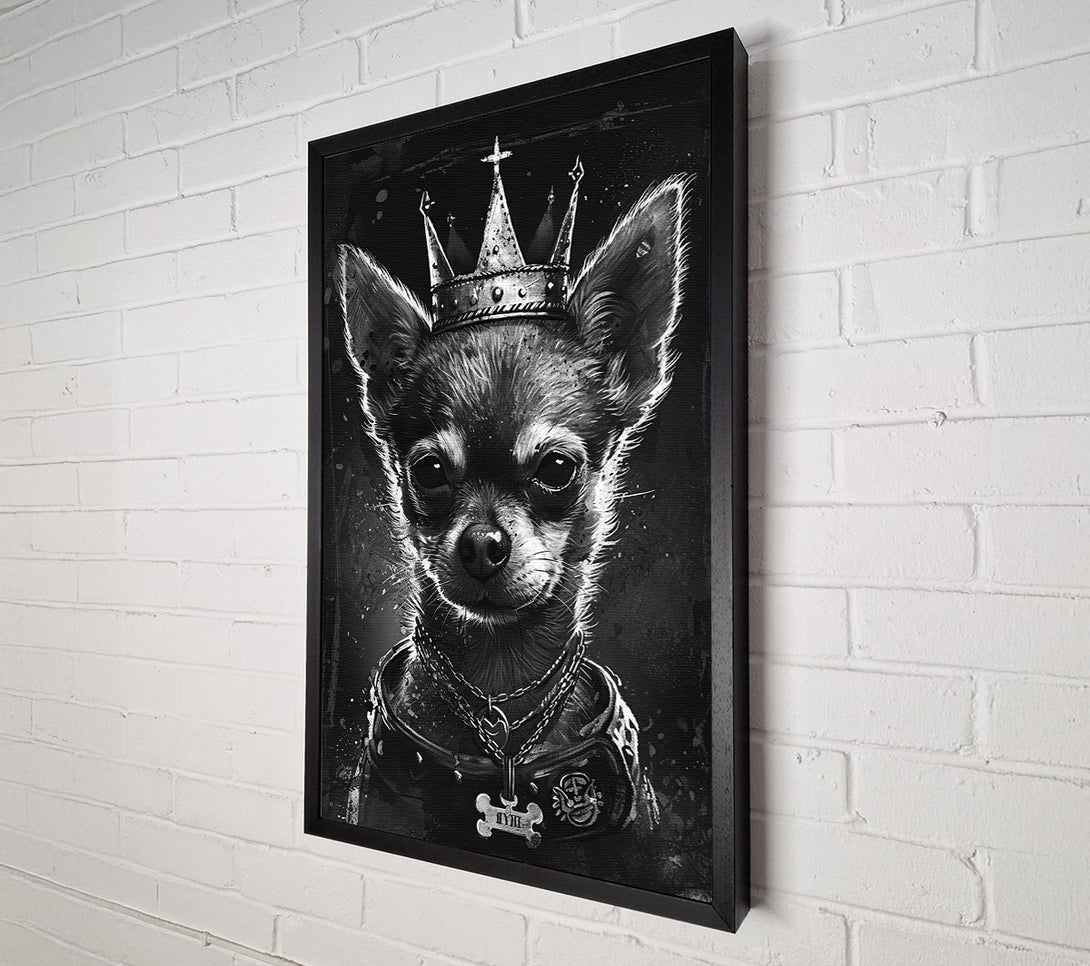  A Canvas Print of King Of The Chihuahuas Canvas Print
