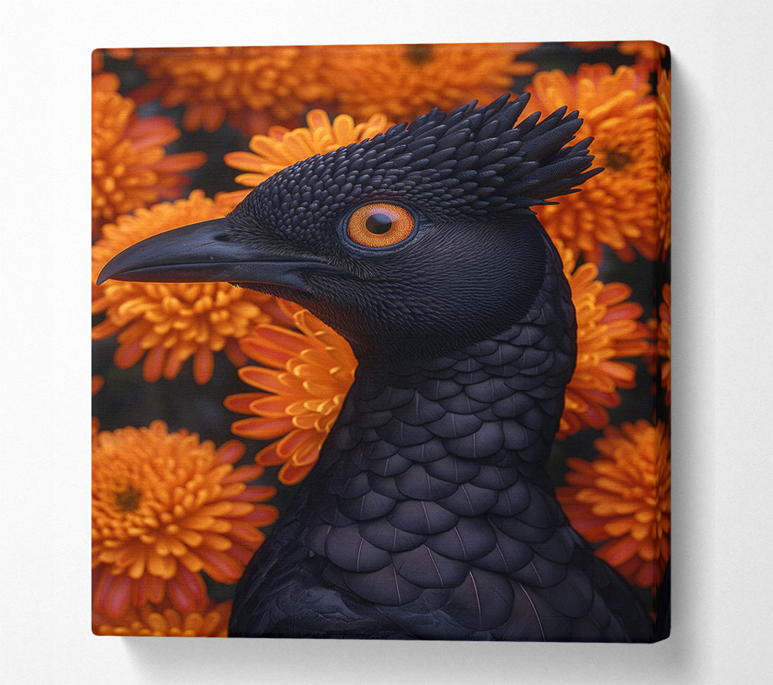  A Canvas Print of The Black Bird Of Paradise Canvas Art