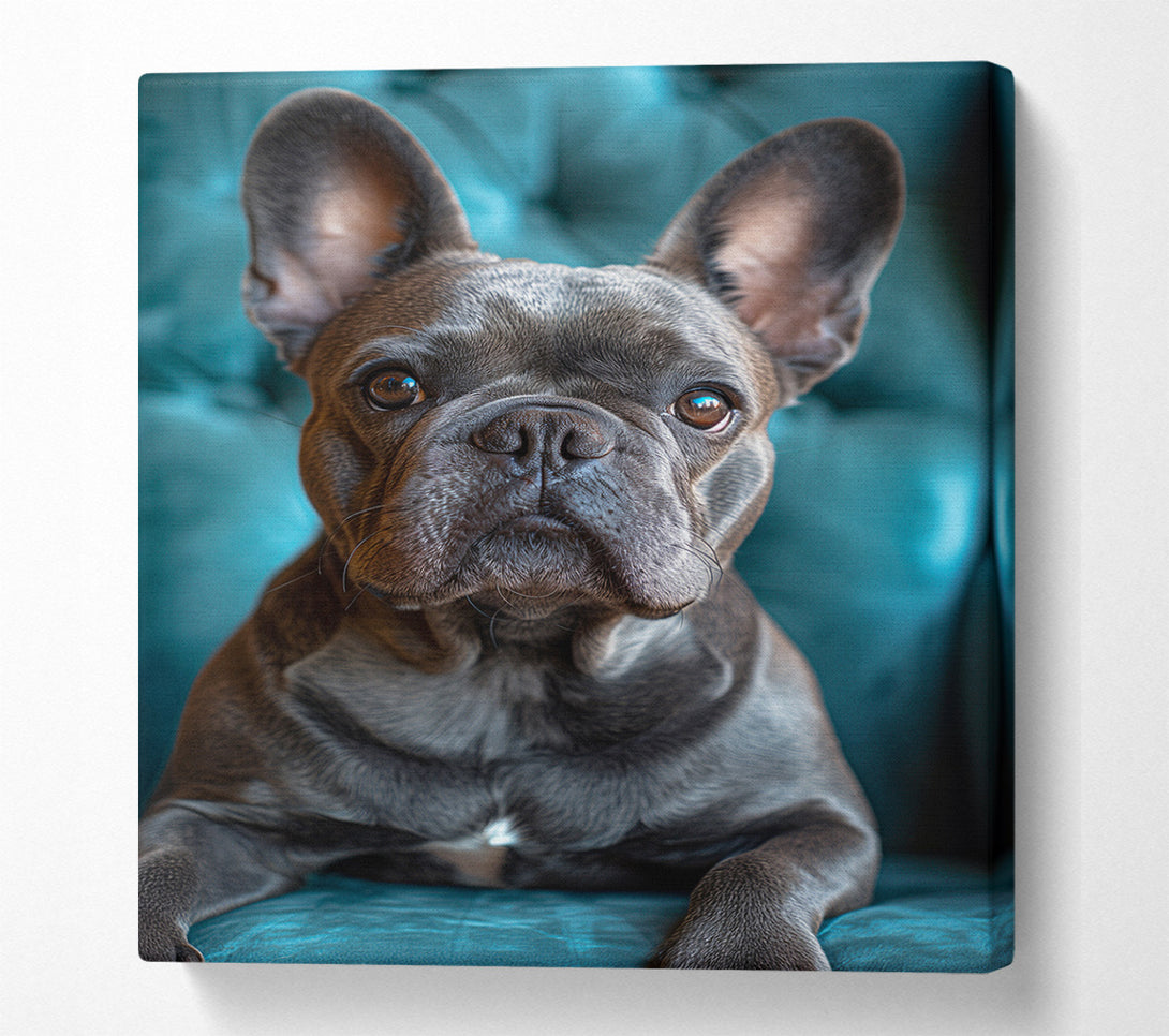  A Canvas Print of Frenchie Canvas Art