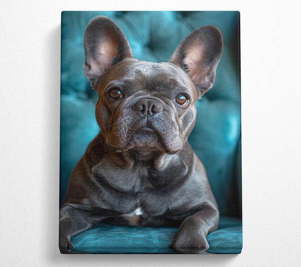  A Canvas Print of Frenchie Canvas Art
