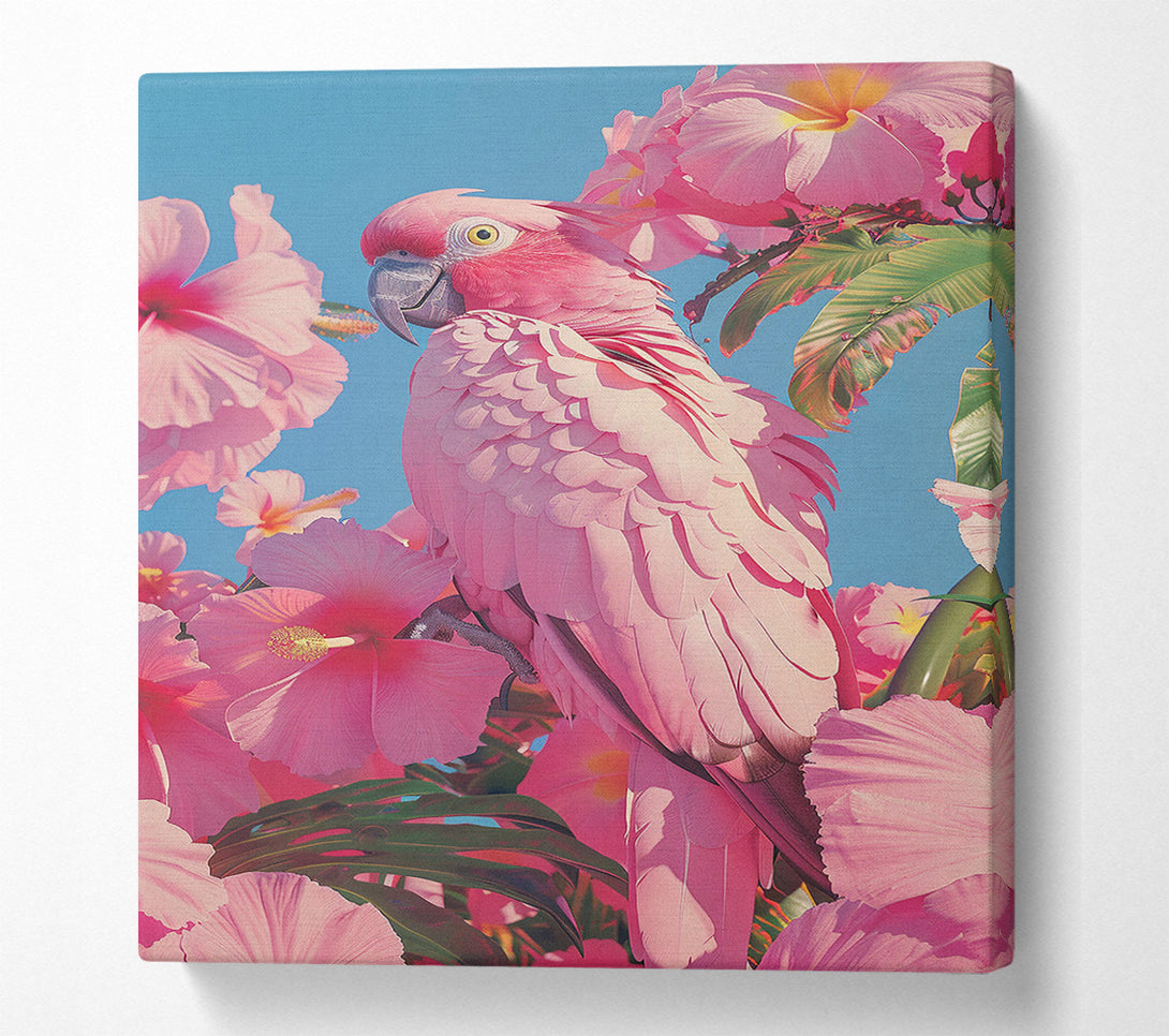  A Canvas Print of Blushing Bird Canvas Art