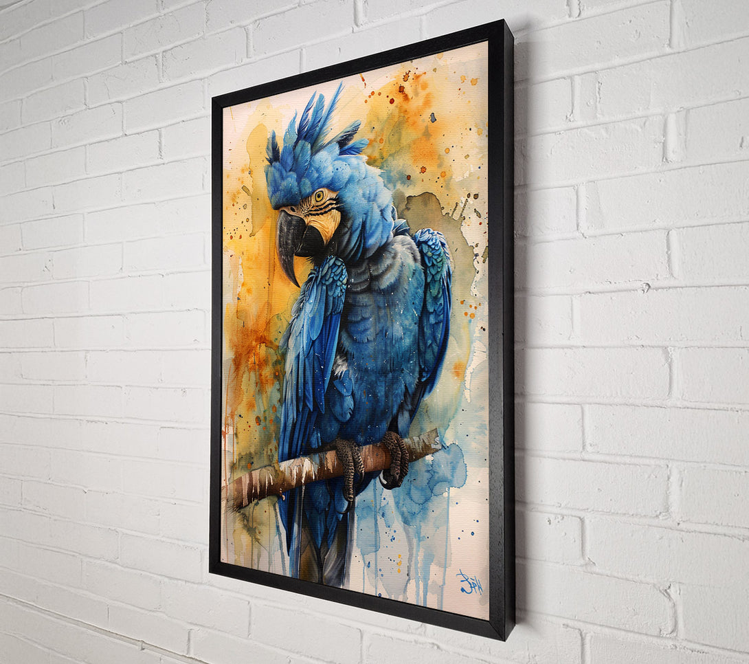  A Canvas Print of Cobalt Macaw Canvas Print