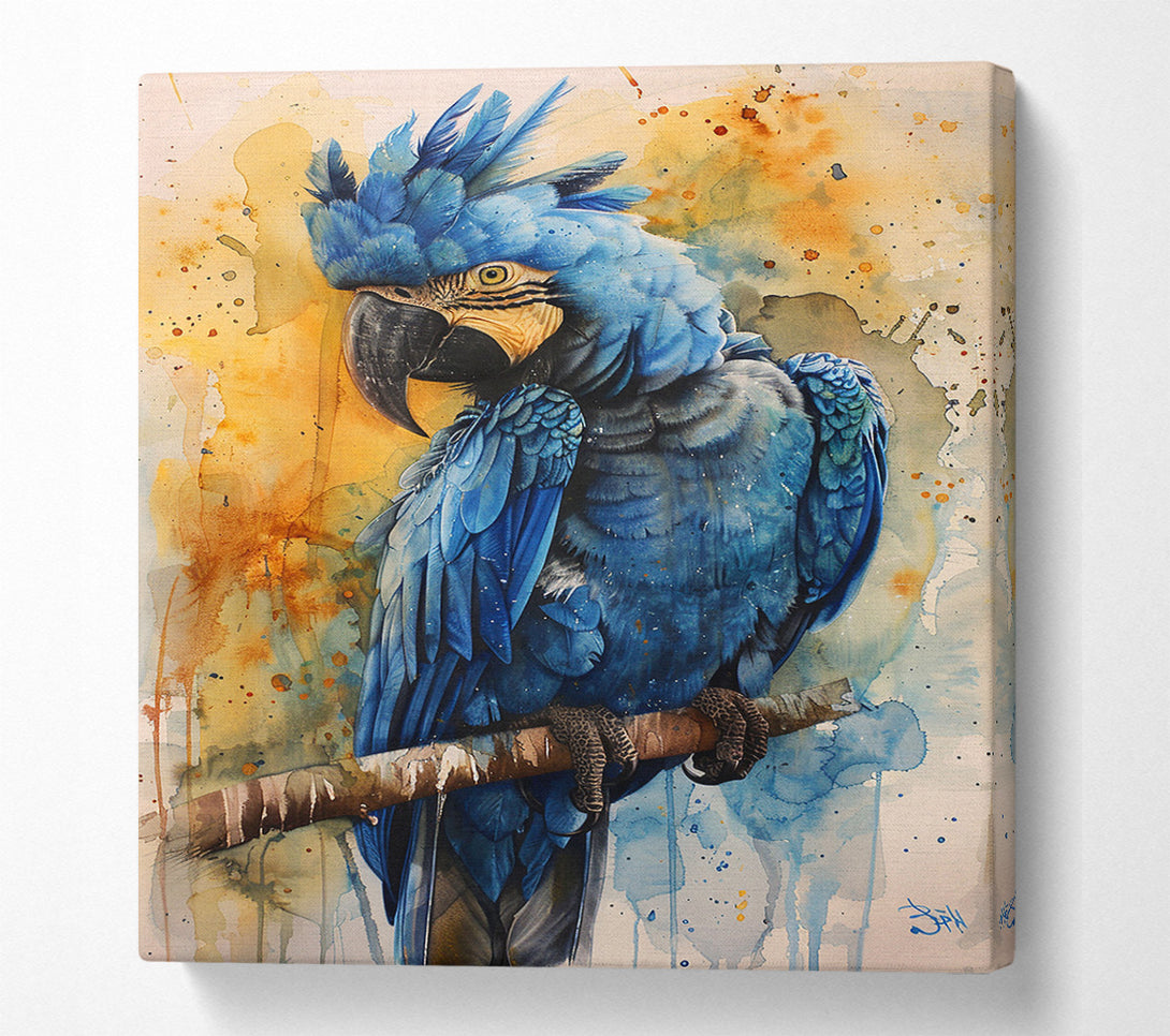  A Canvas Print of Cobalt Macaw Canvas Print