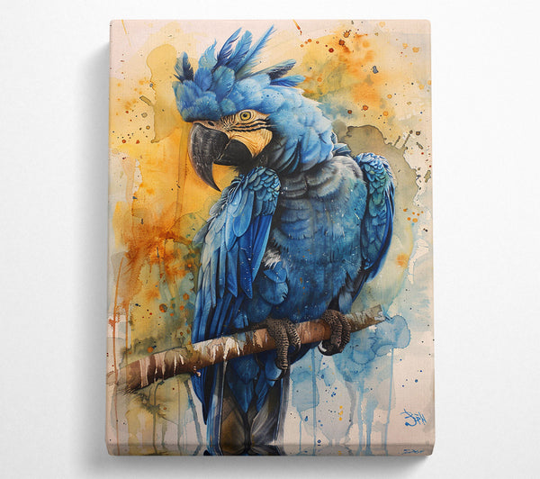  A Canvas Print of Cobalt Macaw Canvas Print