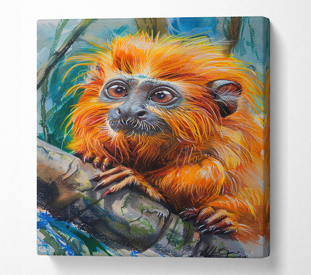  A Canvas Print of Leoncito Canvas Art
