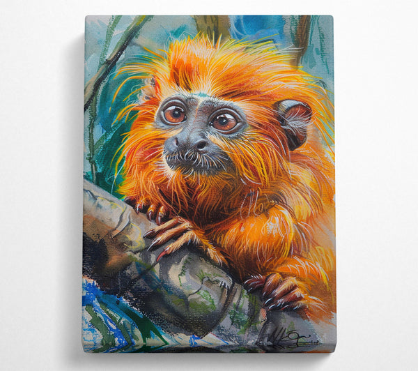  A Canvas Print of Leoncito Canvas Art
