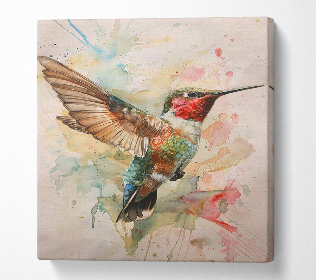  A Canvas Print of Flight Of The Hummingbird Canvas Print