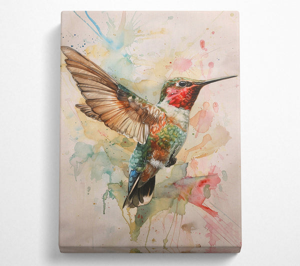  A Canvas Print of Flight Of The Hummingbird Canvas Print