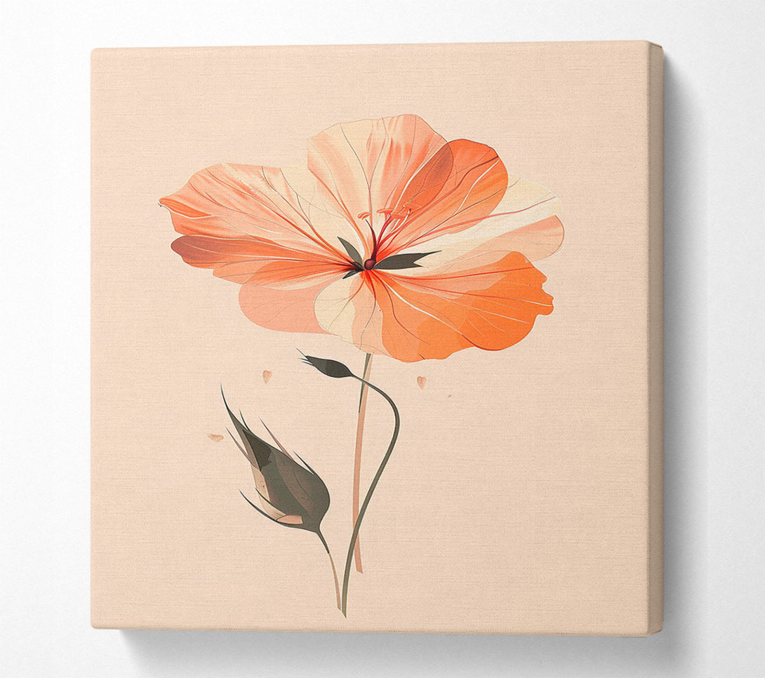  A Canvas Print of Peachy Keen Canvas Art