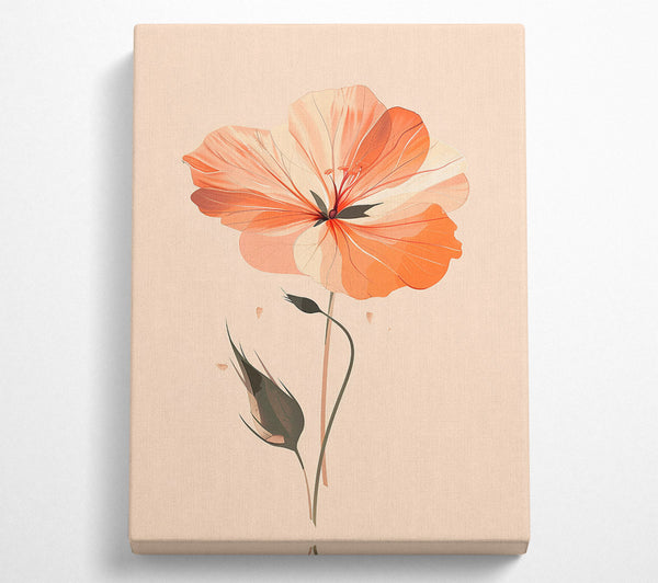  A Canvas Print of Peachy Keen Canvas Art