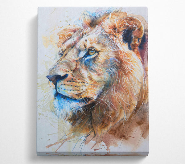  A Canvas Print of His Territory Canvas Print
