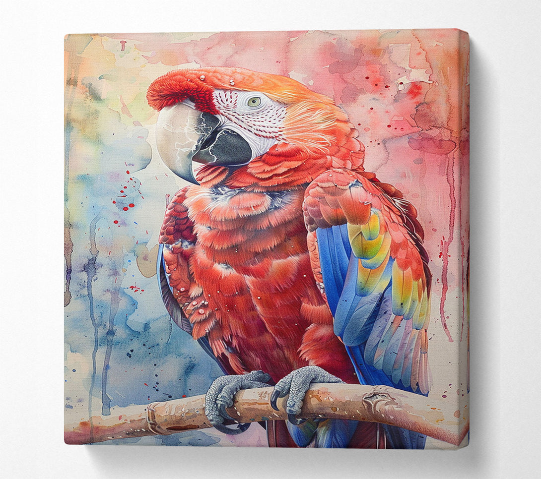  A Canvas Print of Scarlet Splendor Canvas Wall Art