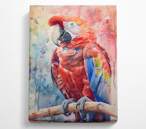  A Canvas Print of Scarlet Splendor Canvas Wall Art