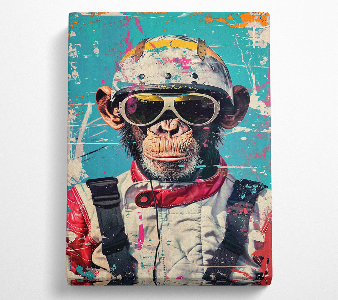  A Canvas Print of Cool Monkey Canvas Print