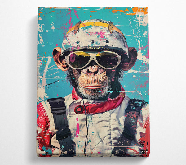  A Canvas Print of Cool Monkey Canvas Print
