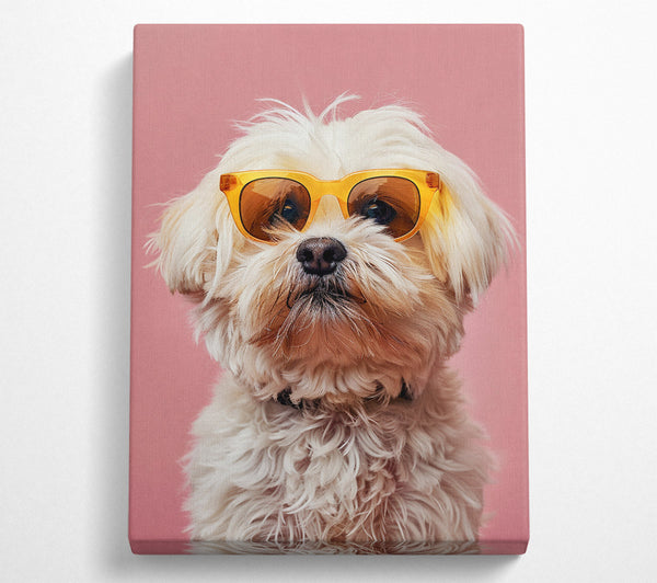  A Canvas Print of Cool Dog Canvas Print
