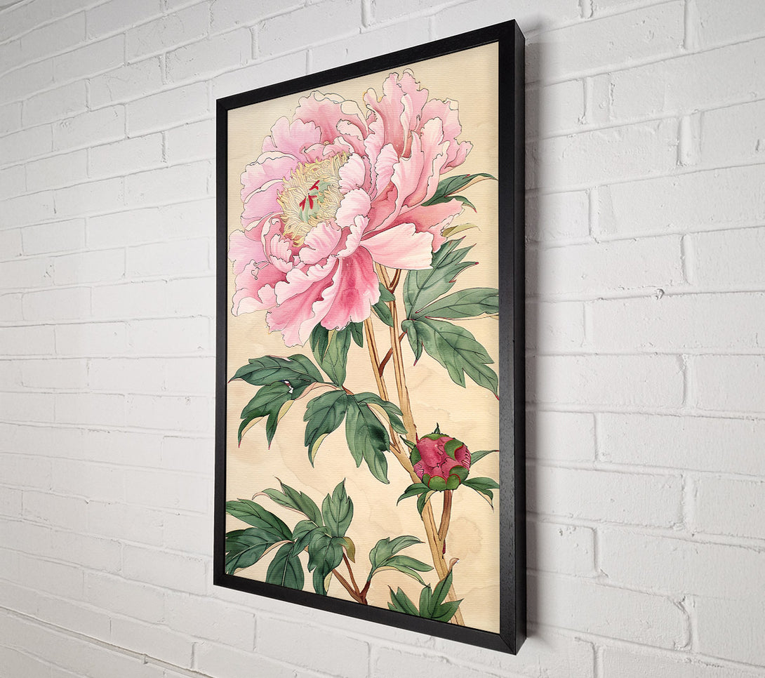  A Canvas Print of Pink Peony Canvas Art
