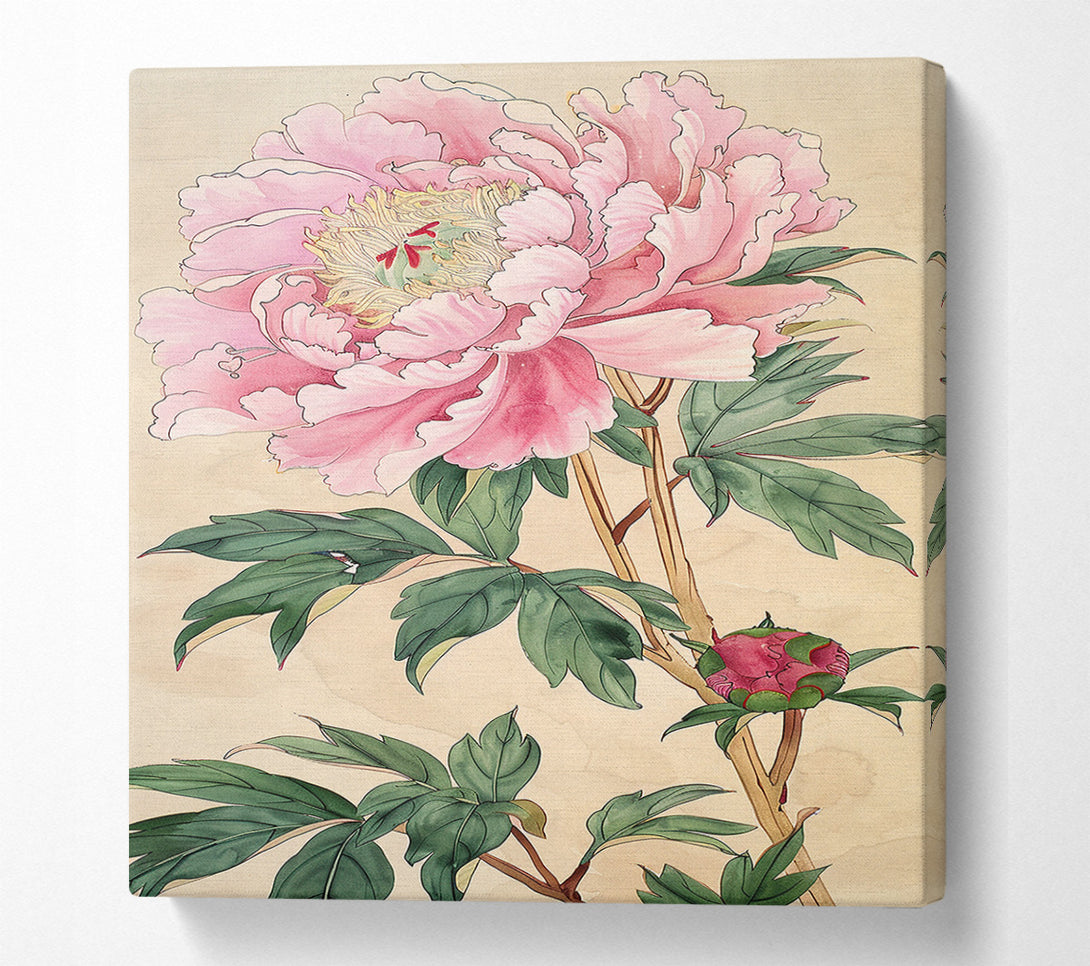  A Canvas Print of Pink Peony Canvas Art
