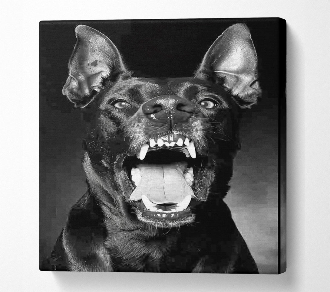  A Canvas Print of The Barks Of War Canvas Print