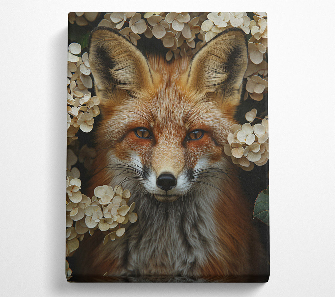  A Canvas Print of Foxy Canvas Wall Art