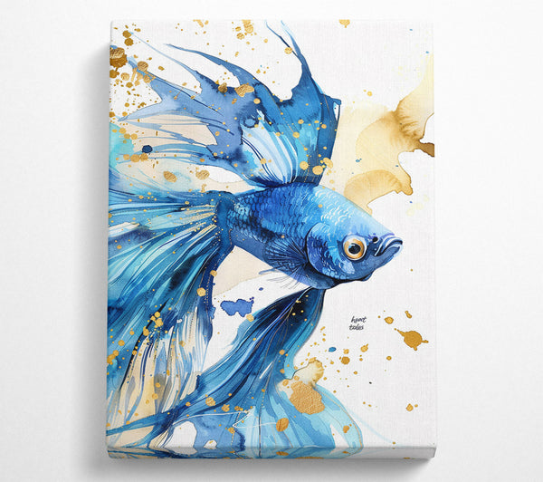  A Canvas Print of Betta Fish Canvas Wall Art