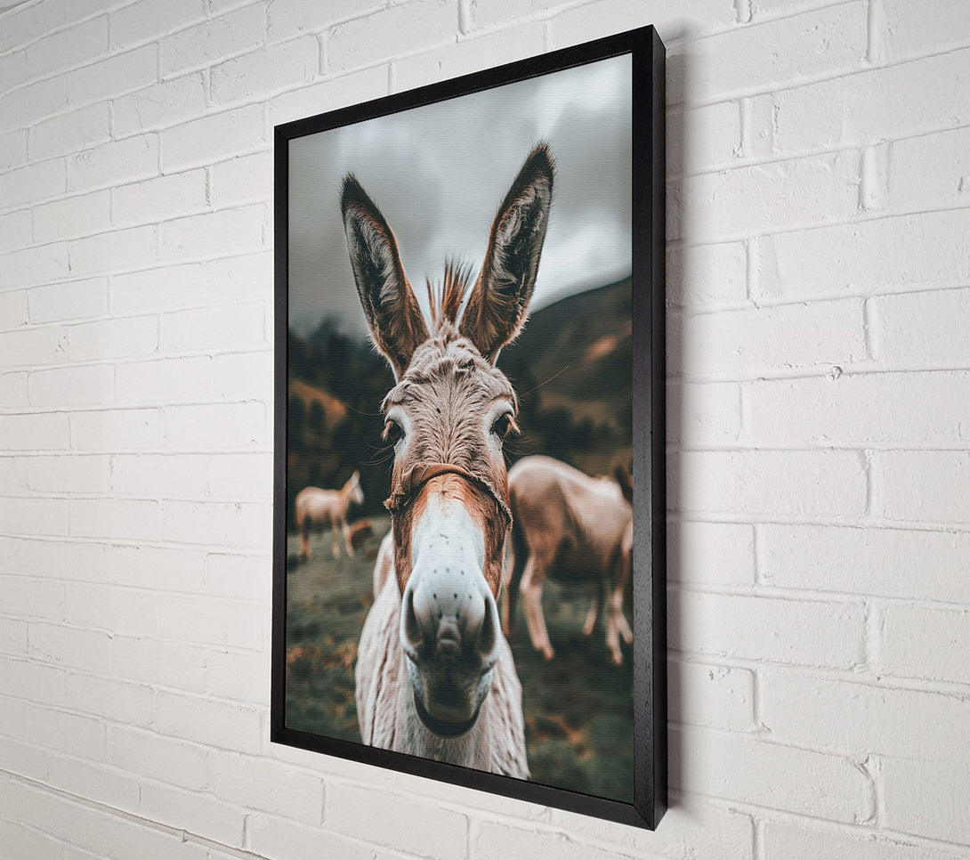  A Canvas Print of Curious Creature Canvas Art