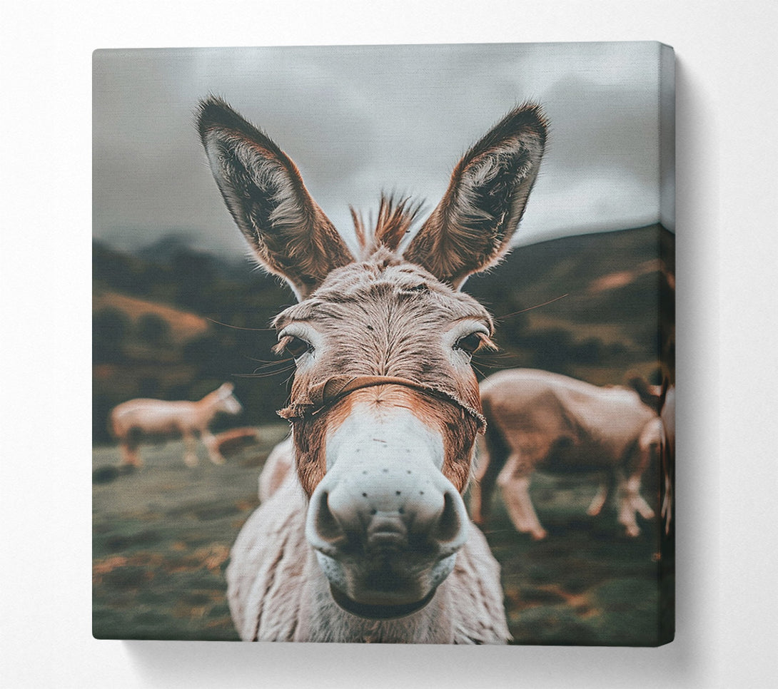  A Canvas Print of Curious Creature Canvas Art