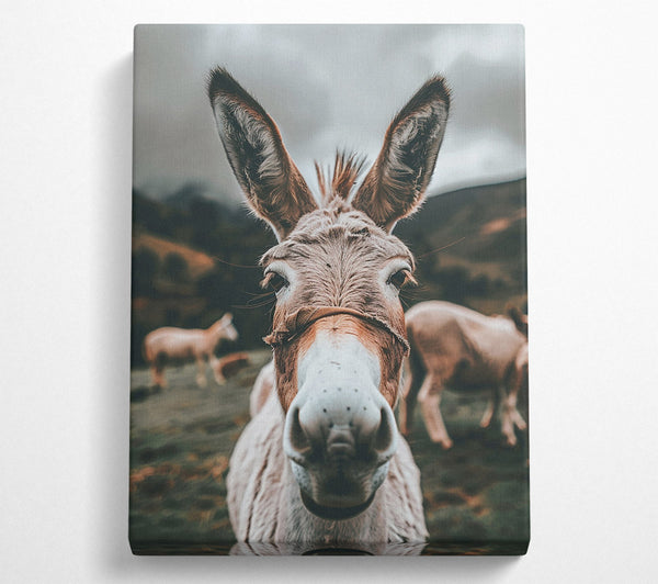  A Canvas Print of Curious Creature Canvas Art
