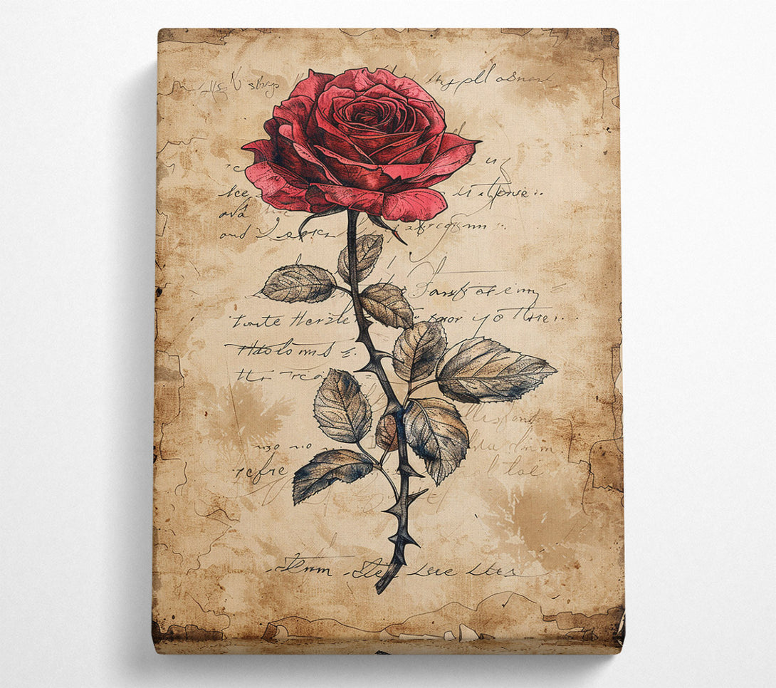  A Canvas Print of Crimson Bloom Canvas Wall Art