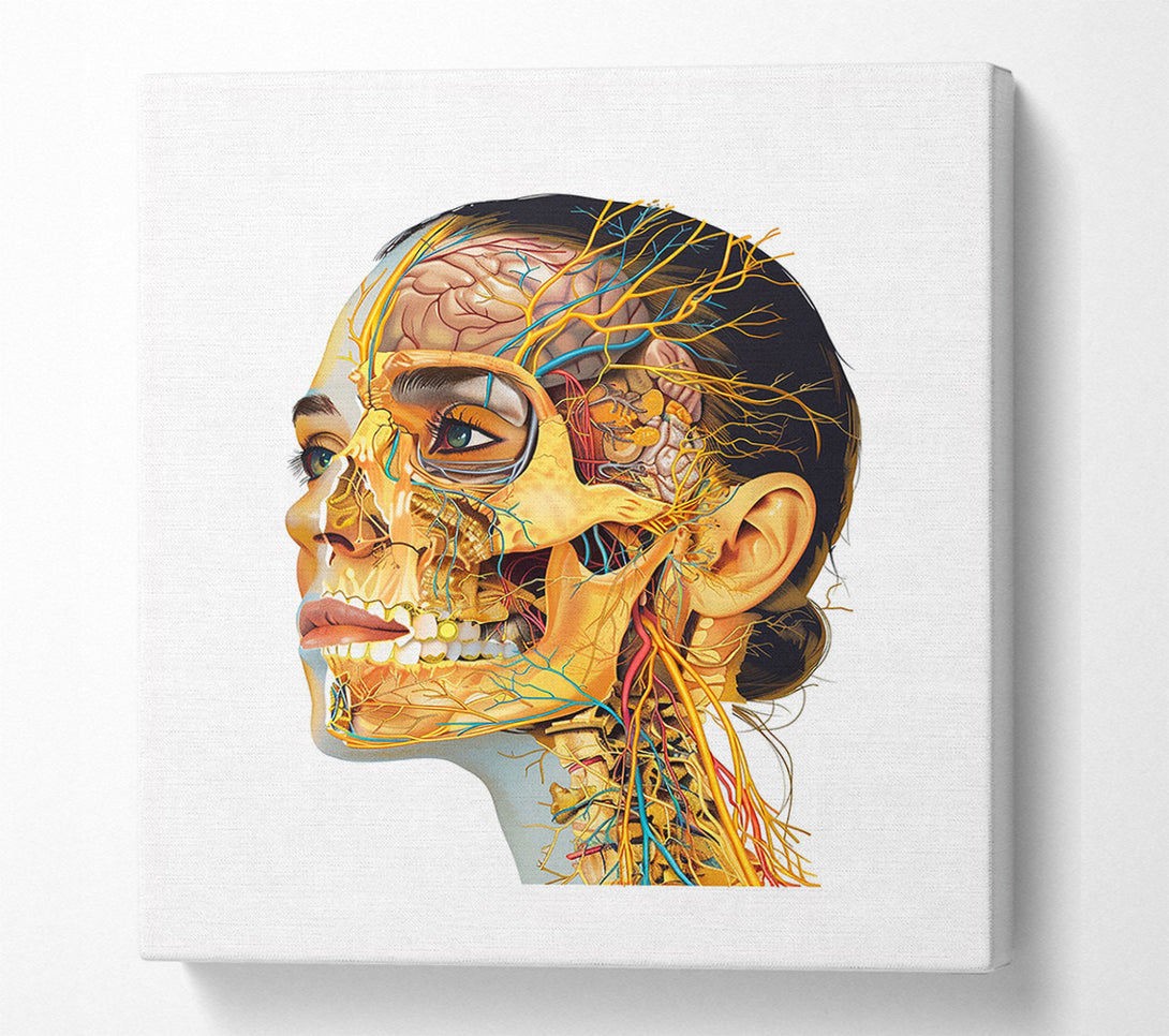  A Canvas Print of The Beauty Of The Human Form Canvas Print