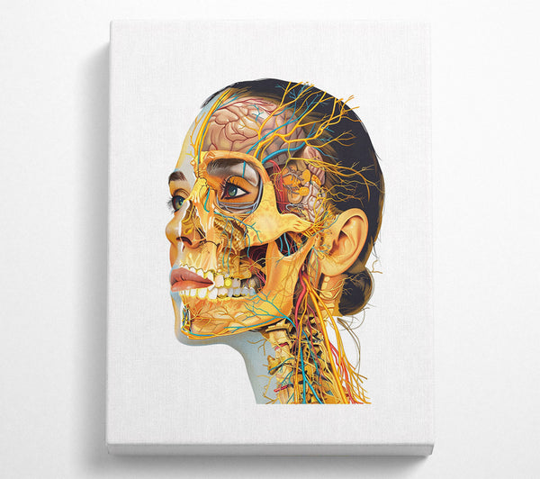  A Canvas Print of The Beauty Of The Human Form Canvas Print