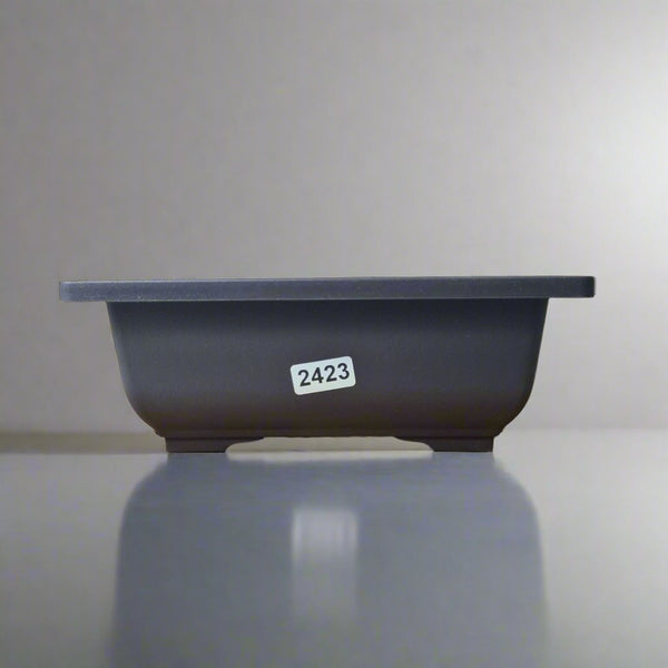 Plastic Bonsai Training Pot | Rectangle | 16cm x 12cm x 6cm
