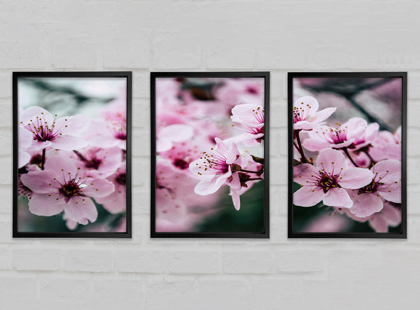 Pinke Blumen