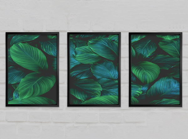 Jungle Leaves Gallery Wall Art