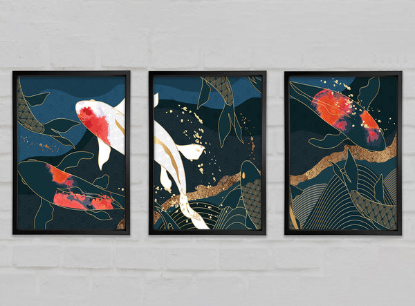Koi Carp Set of 3 Framed Print