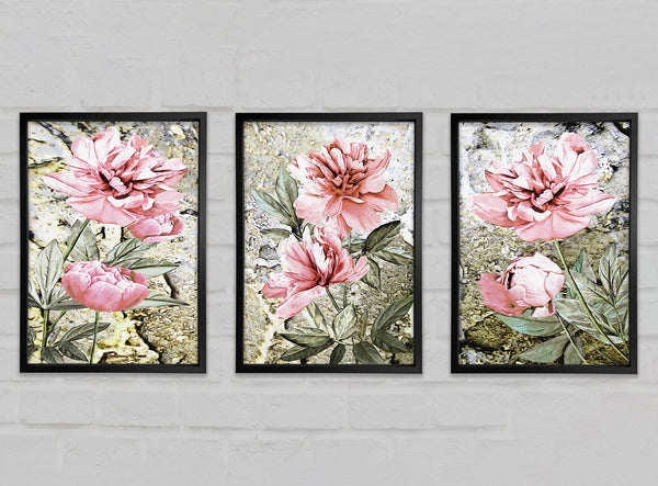 Trio Of Pink Flowers Set of 3 Framed Print