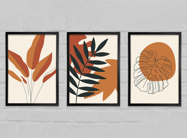 Terracotta Plants 3 Piece Prints