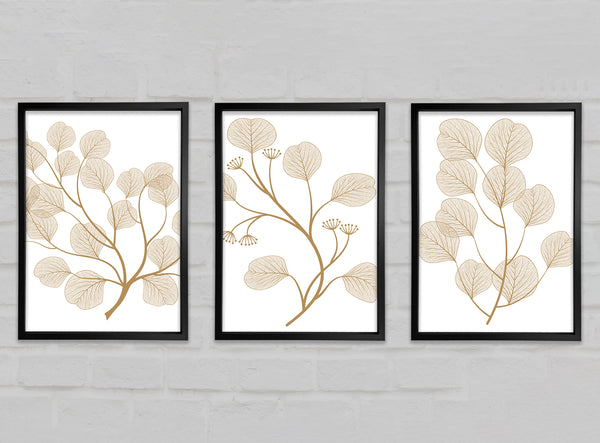 Delicate Plants Gallery Wall Art