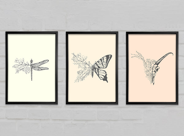 Natural Sketches Gallery Wall Art