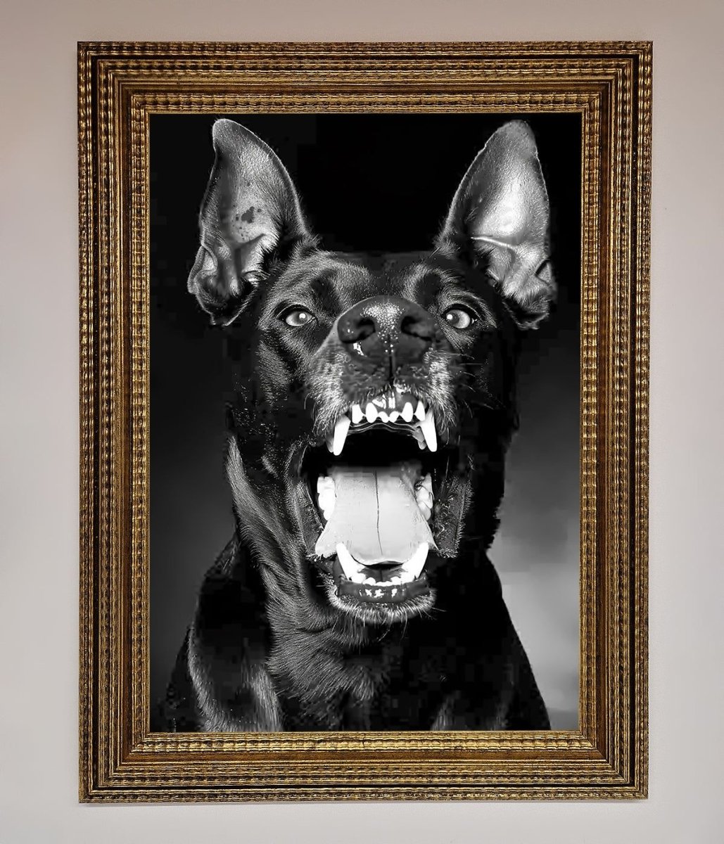 Angry Doberman Dog Framed Wall Art - Zestio