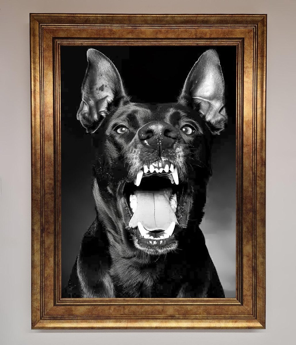 Angry Doberman Dog Framed Wall Art - Zestio