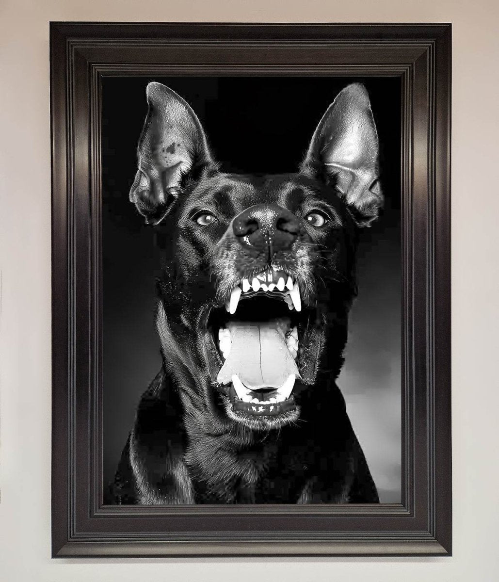 Angry Doberman Dog Framed Wall Art - Zestio