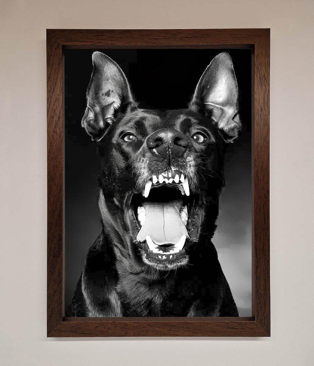 Angry Doberman Dog Framed Wall Art - Zestio