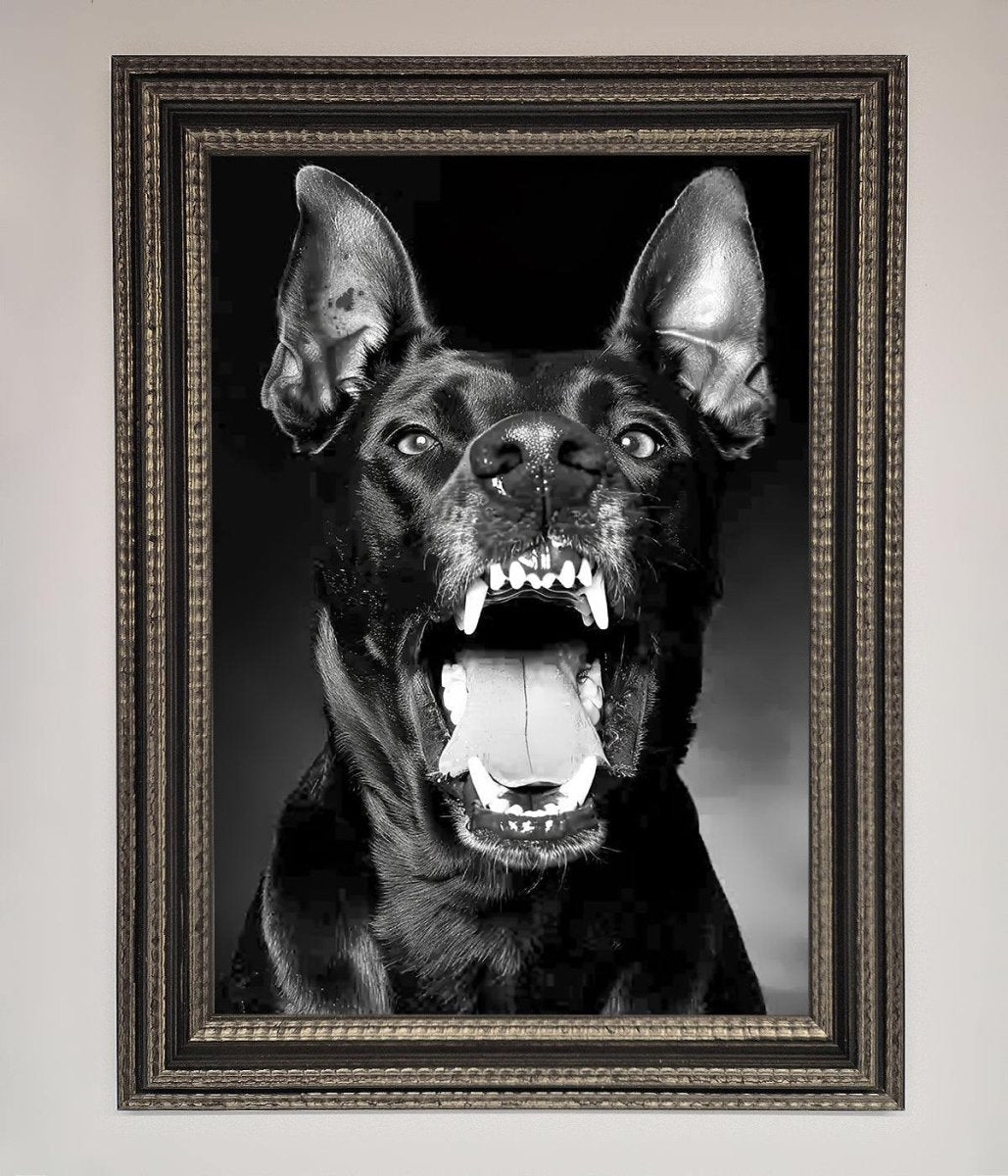 Angry Doberman Dog Framed Wall Art - Zestio