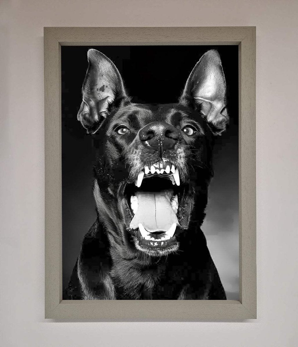 Angry Doberman Dog Framed Wall Art - Zestio